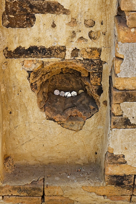 Prasat Mueang Thi-017